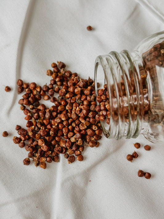 Grains of Paradise (Whole Seeds)