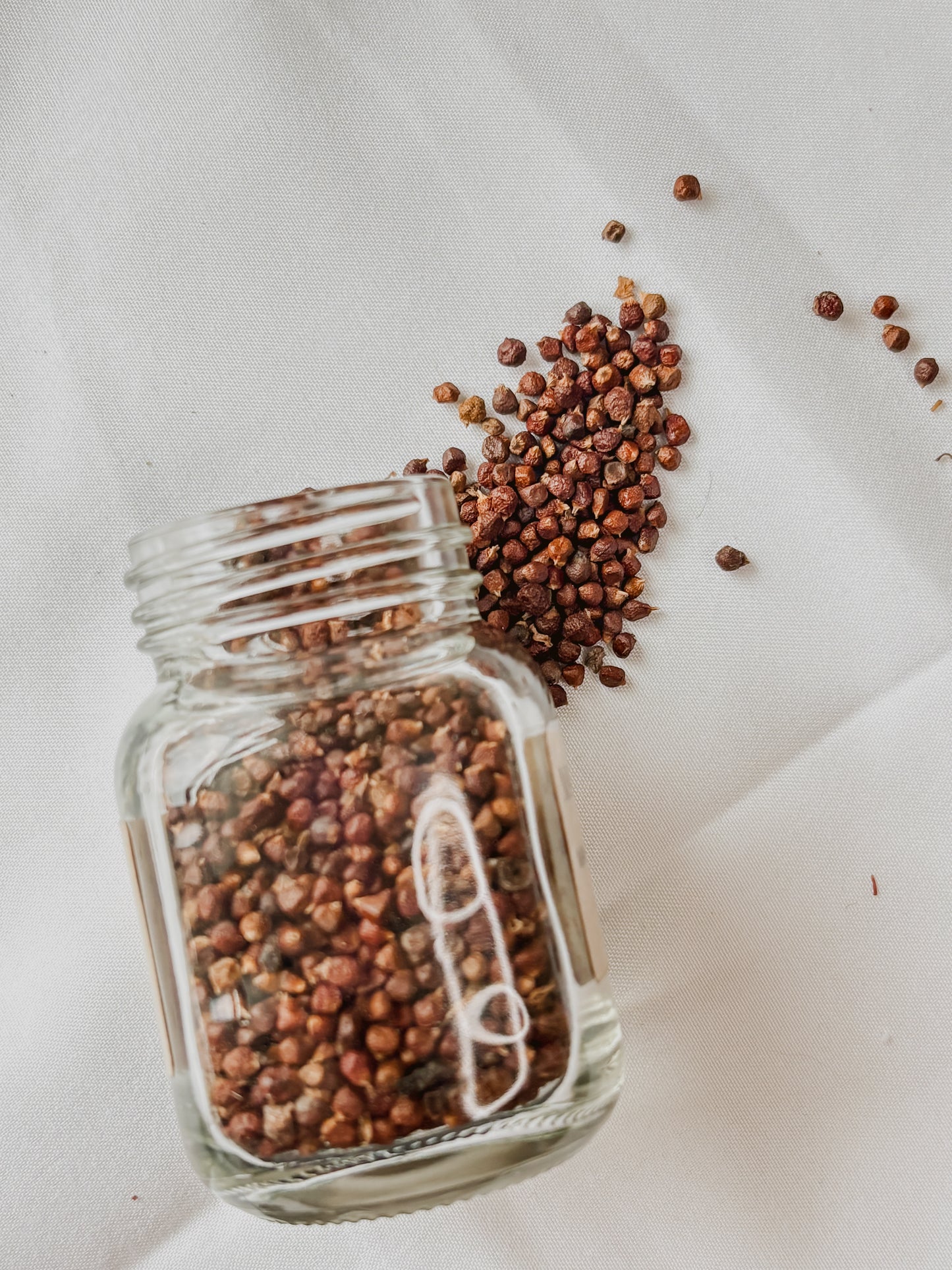 Grains of Paradise (Whole Seeds)