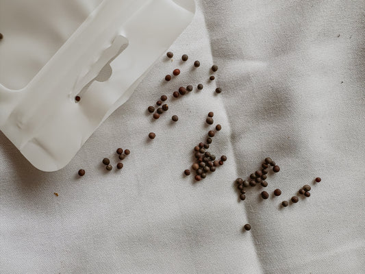 Black Mustard Seed