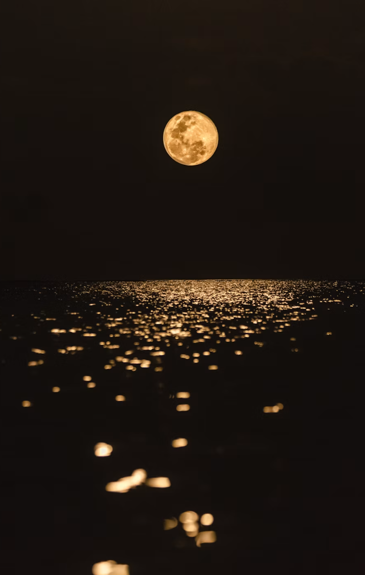 Hoodoo Moon Oil – Manifestation, Spiritual Cleansing & Ancestral Wisdom